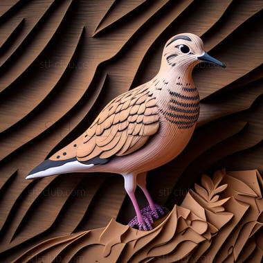 3D model st dotterel (STL)